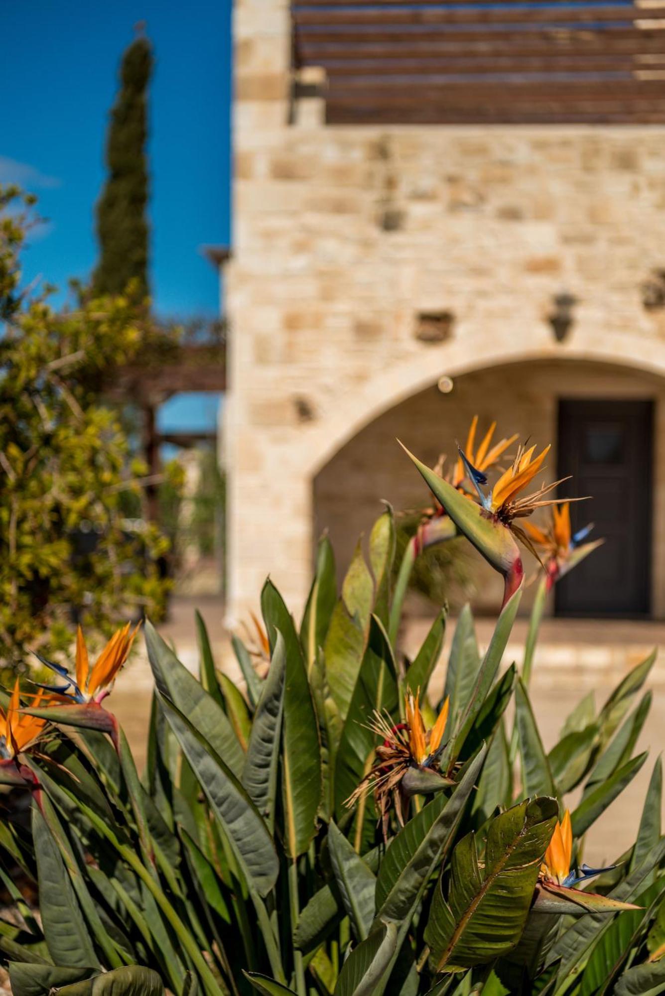 Villa Gloria Seaview - Luxury & Family Kokkino Chorio Eksteriør bilde