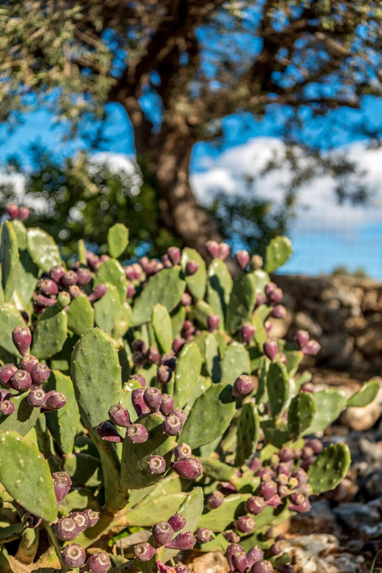 Villa Gloria Seaview - Luxury & Family Kokkino Chorio Eksteriør bilde